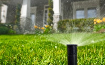 6 Quick Summer Plumbing Tips