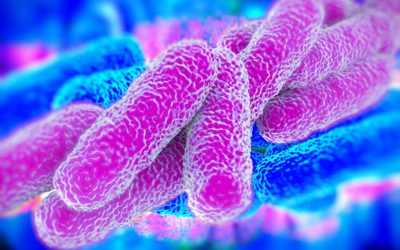 How Poor Plumbing Systems Can Lead To Legionnaires’ Disease