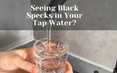 Black Specks in Water