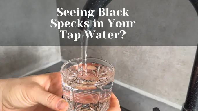 Black Specks in Water